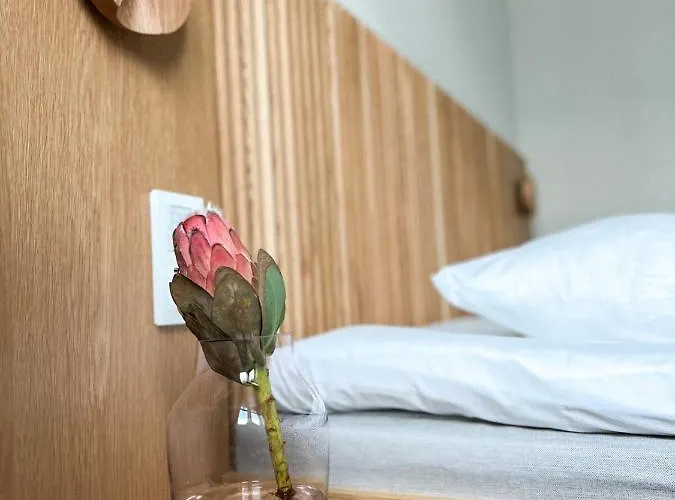 Ξενοδοχείο 1904 4*